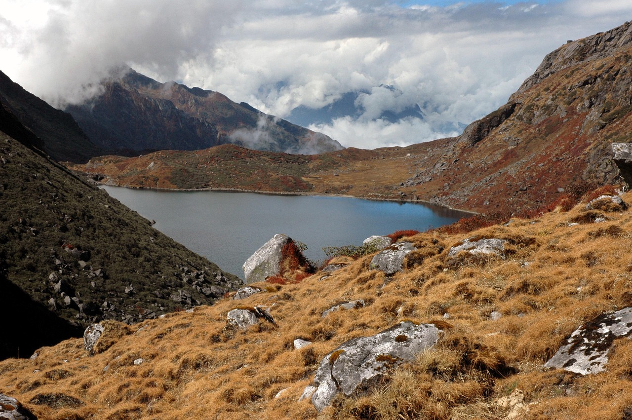 망간 효능 및 섭취 방법