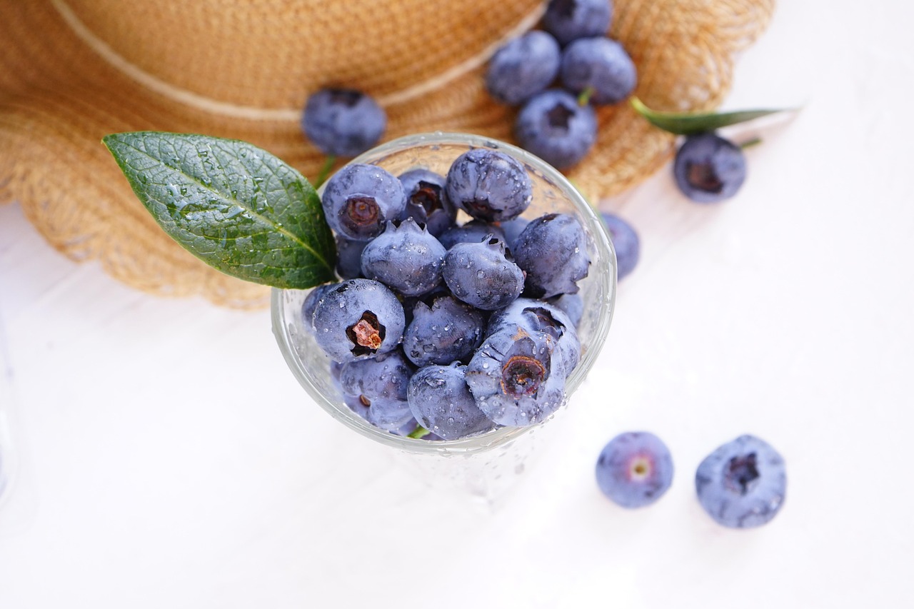 블루베리 효능 및 섭취 방법
