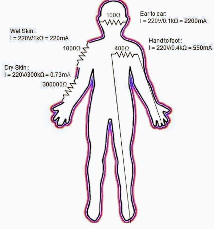 The Science Behind Our body's Resistance to Change