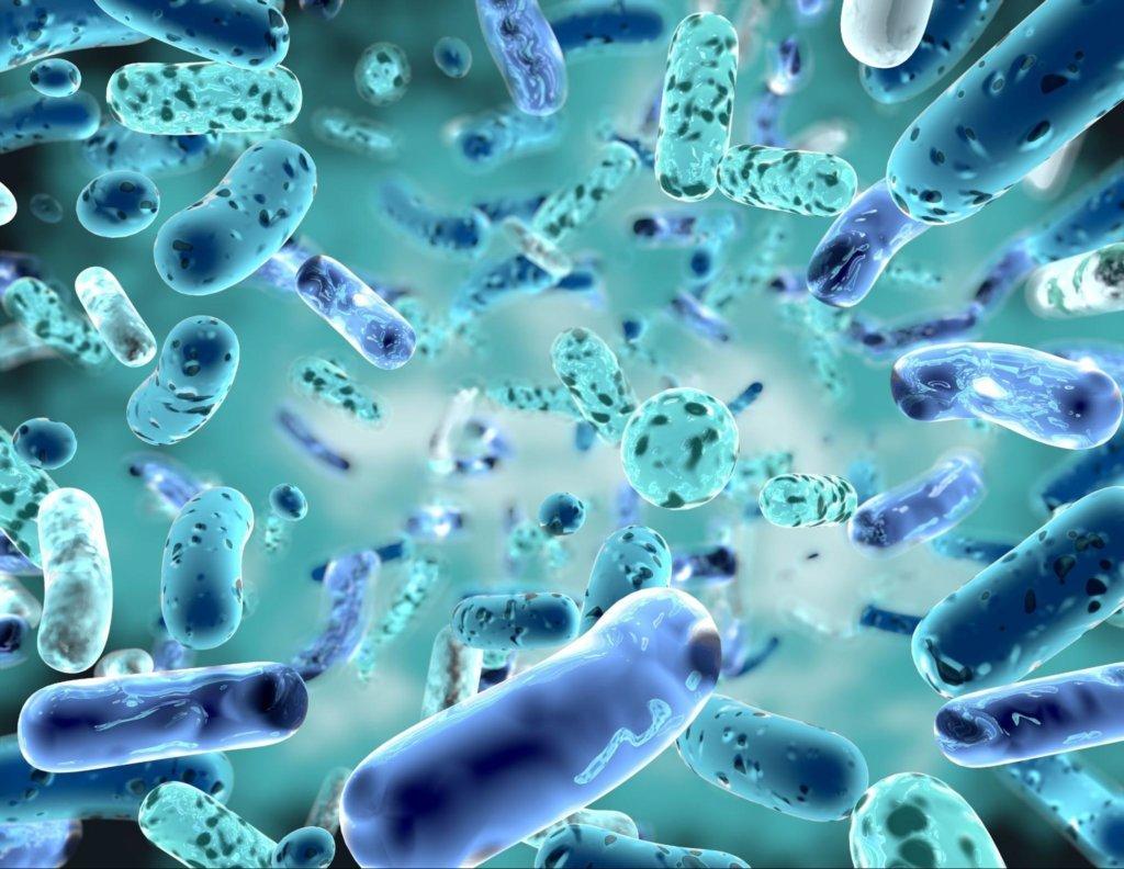 Identifying Who Should Avoid Probiotics ‌for ⁣Safe Health practices