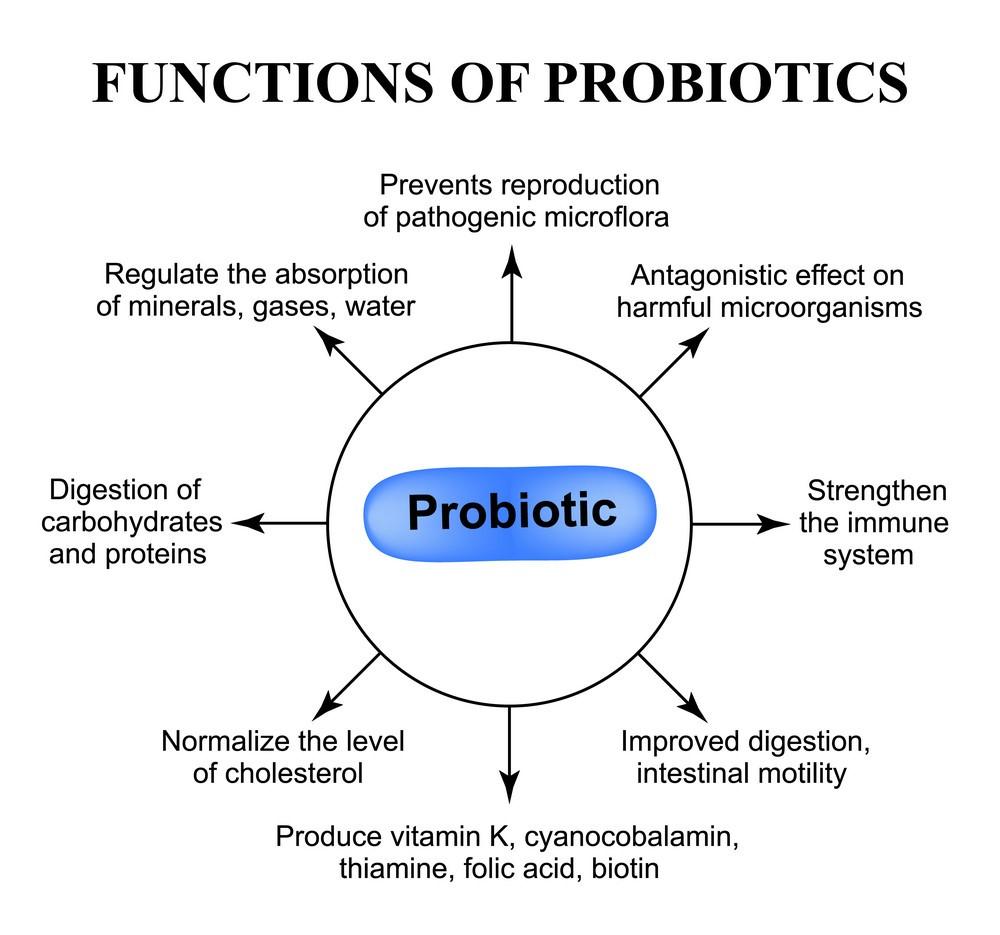 Navigating Probiotic Use During Illness and Medication Interactions